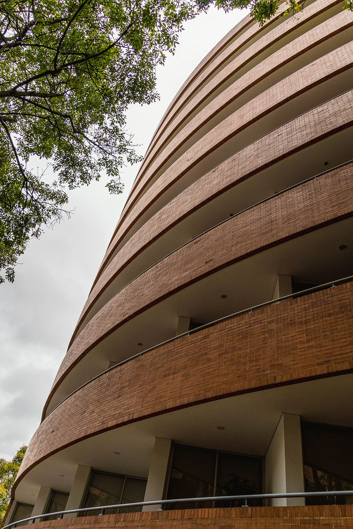 1020	Rosales_18072023_StefaníaÁlvarez (20)