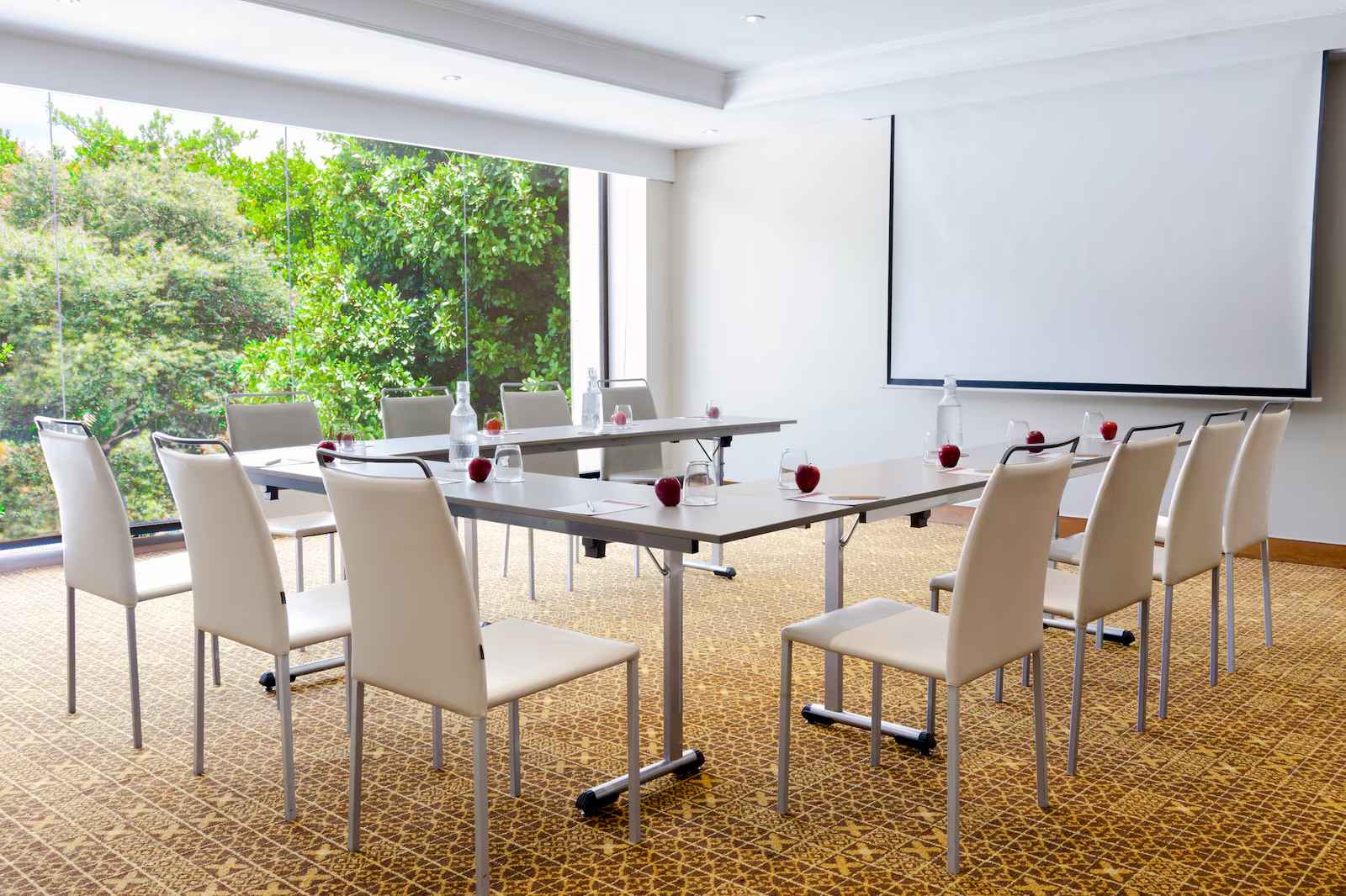 Salón muy pequeño con un ventanal a un jardin a un lado. Hay varias mesas organizadas en forma de U mirando hacia una pantalla de videobeam. En cada mesa hay manzanas y botellas de agua.
