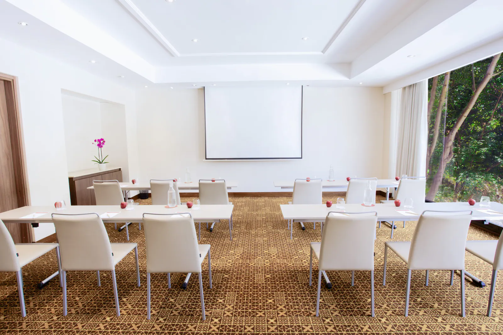 Salón muy pequeño con un ventanal a jardin a un lado. Hay dos filas con 4 de mesas, organizadas de forma vertical mirando hacia una pantalla de videobeam. Hay un lindo tapete color caoba y una matera con una orquídea.