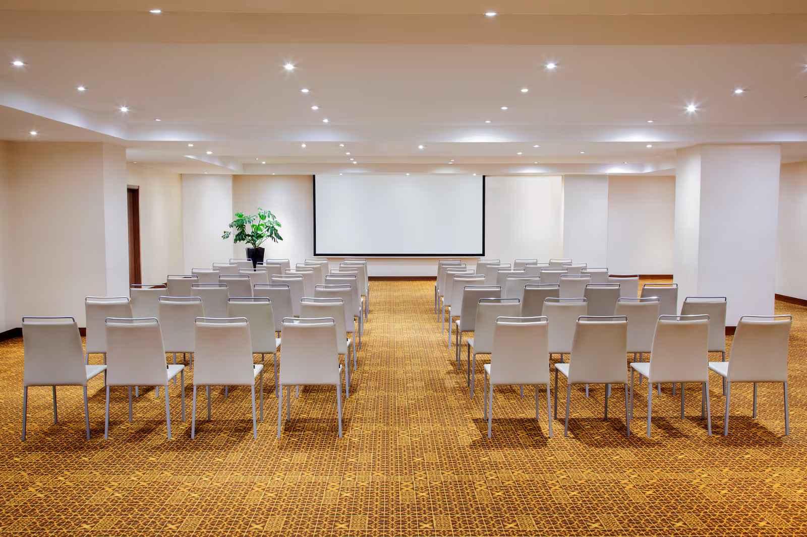 Salón con por lo menos 50 sillas organizadas mirando hacia una pantalla de videobeam. Hay una matera con una planta.