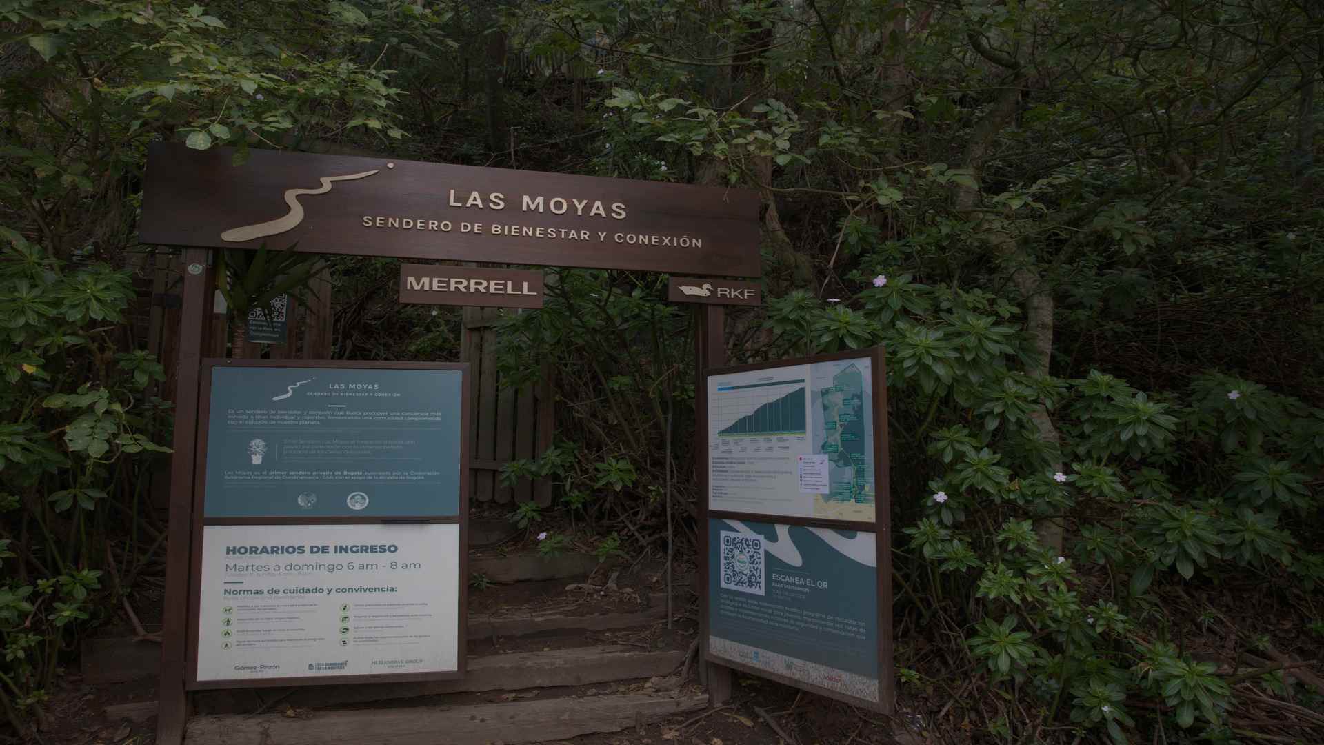 Las Moyas: el sendero donde Bogotá respira entre montaña, historia y bienestar