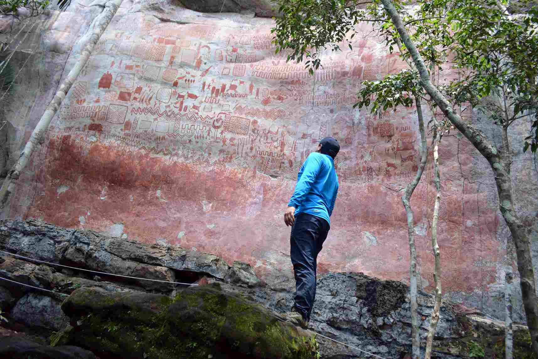 Caminatas Ecológicas Bogotá Conexión Natural