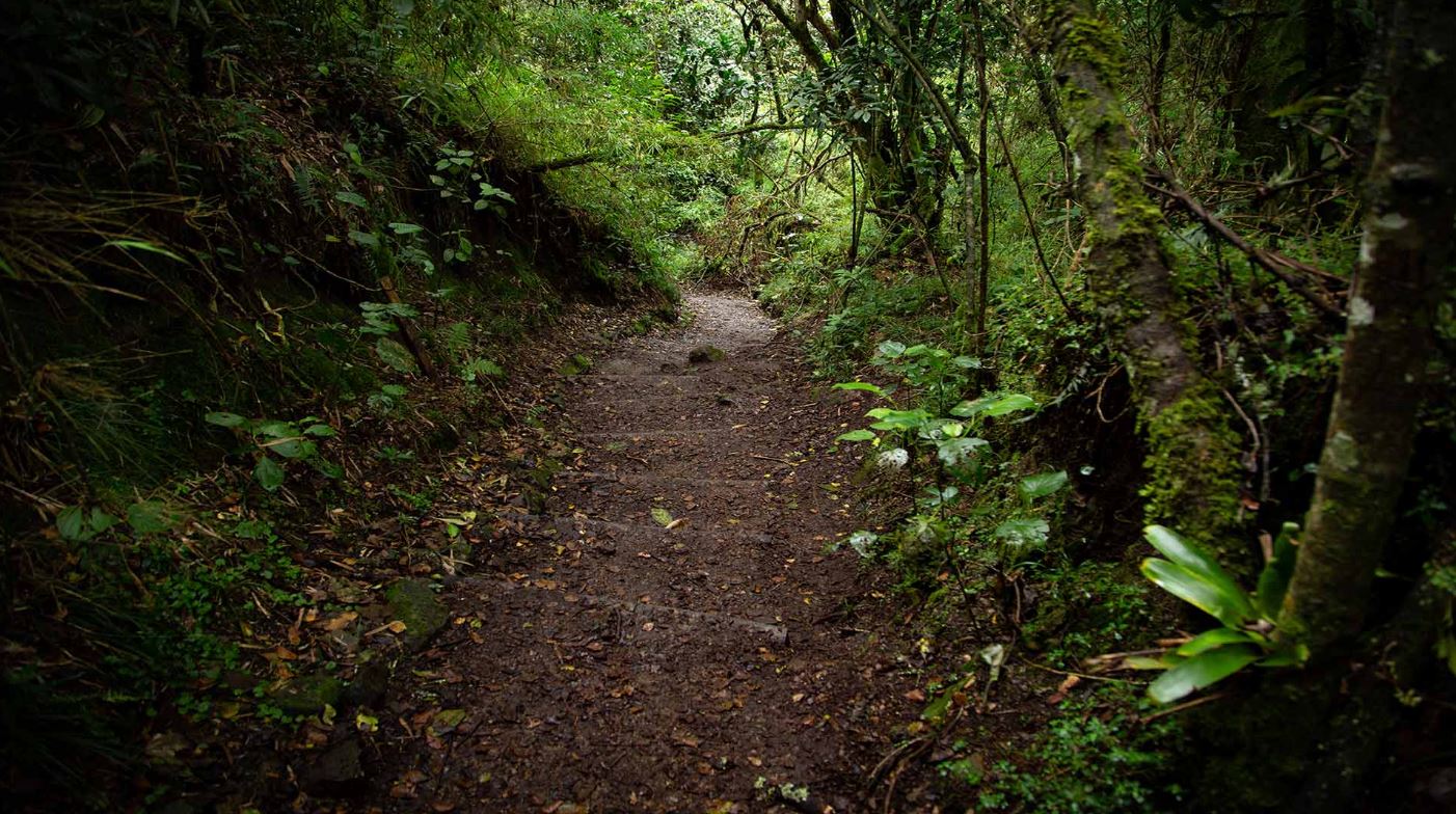 Sendero La Aguadora - Santa Ana