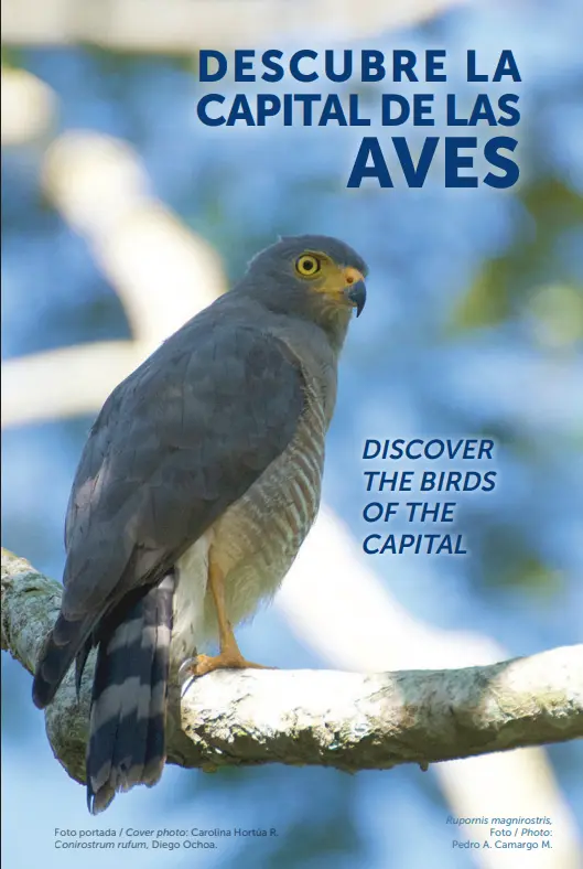Aves de Bogotá - Guía de Aviturismo.