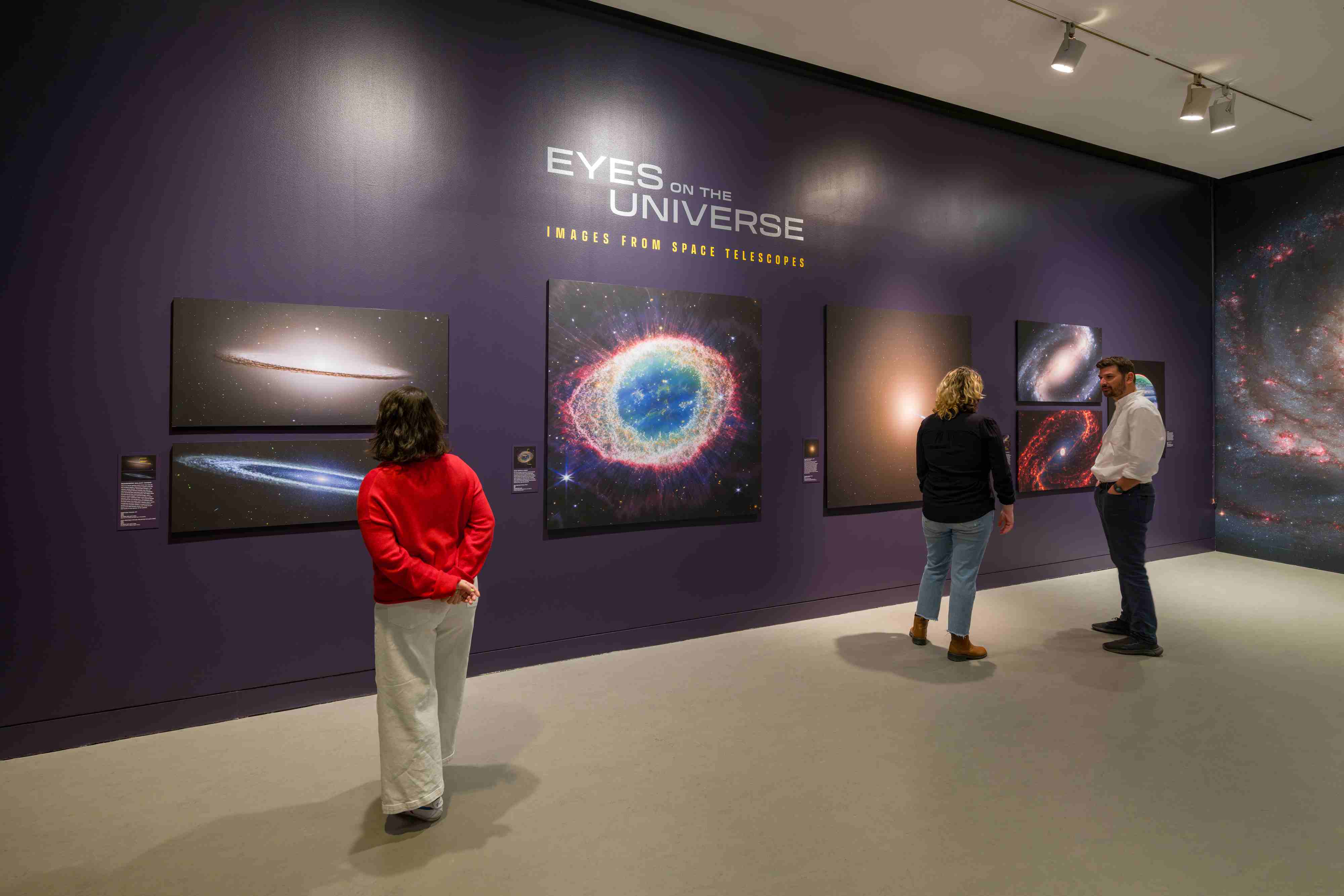 De Nueva York a Bogotá. La ciudad presenta una exposición inédita del American Museum of Natural History