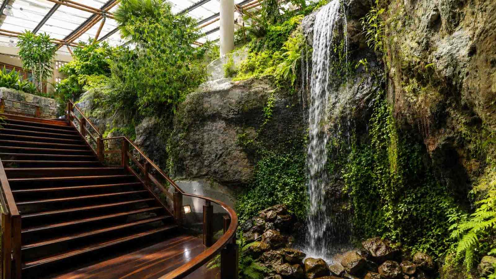  Un rincón natural que sorprende con una cascada entre rocas y abundante vegetación, acompañado por una elegante escalera de madera. La combinación de agua, piedra y naturaleza crea un ambiente fresco, tranquilo y lleno de encanto.