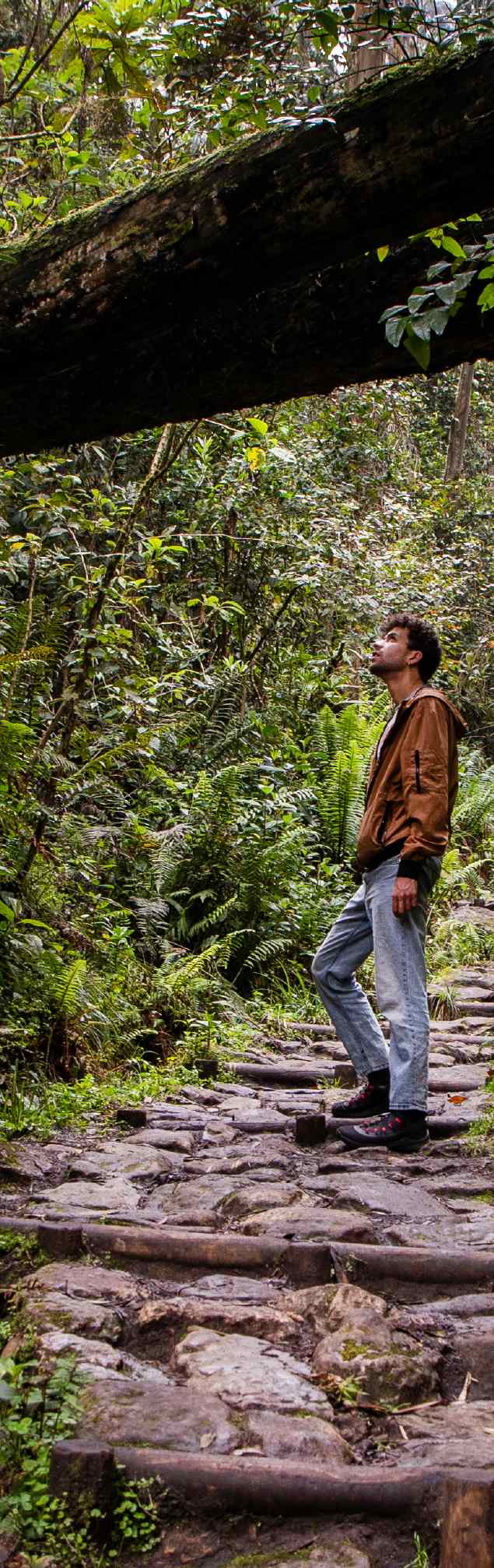 Senderista recorriendo un camino de piedra entre la vegetación de un bosque, bajo un antiguo puente cubierto de musgo.