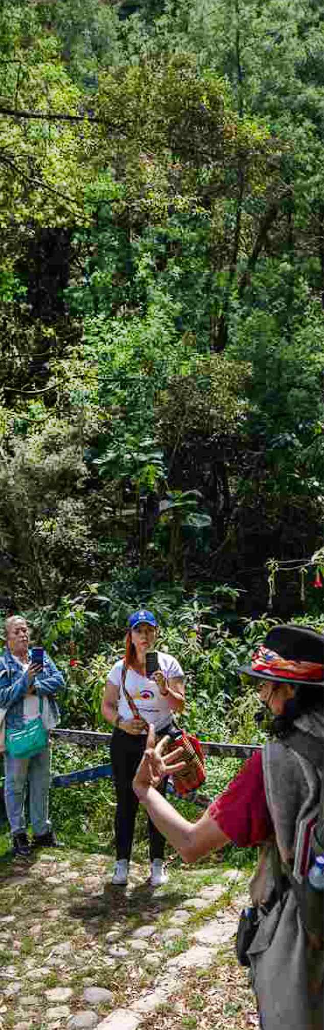 Grupo de visitantes recorriendo un sendero natural entre la vegetación de un bosque, acompañados por un guía.