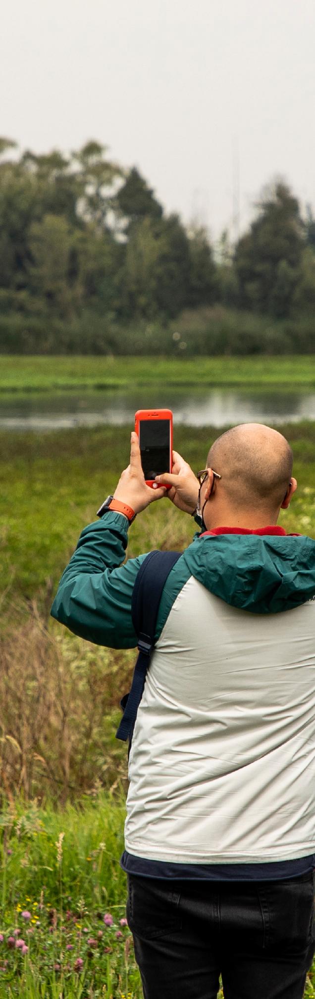 Persona fotografiando con un celular la biodiversidad de un humedal, rodeado de vegetación y cuerpos de agua.
