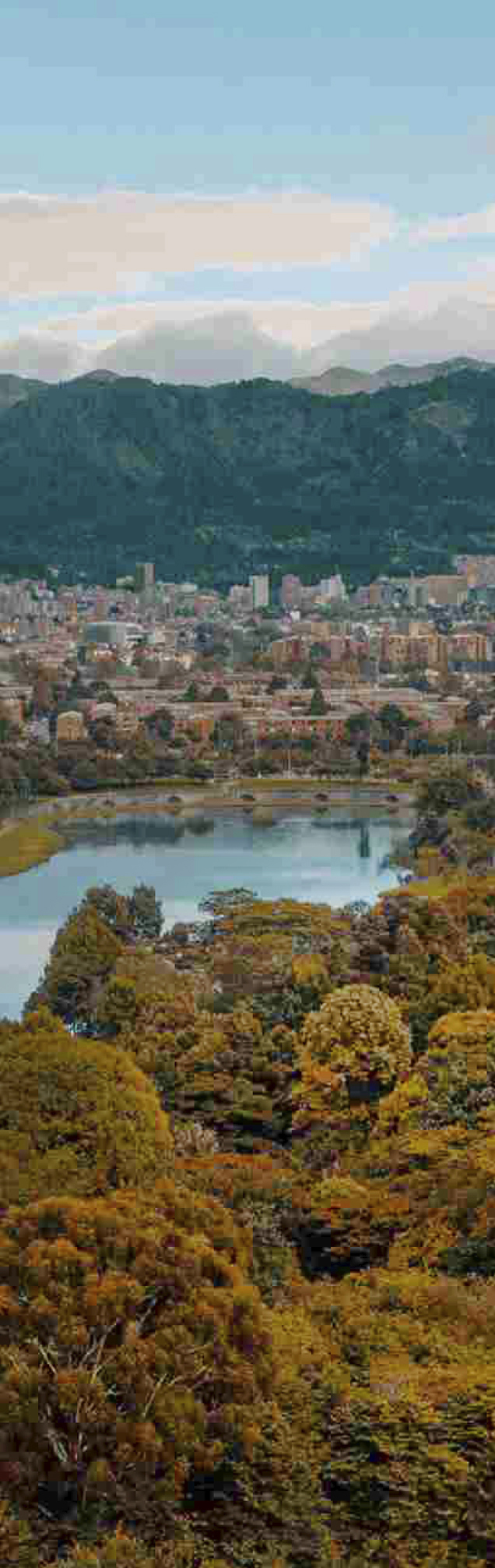 Vista panorámica de un parque urbano con lago y frondosos árboles, con la ciudad y las montañas de fondo.