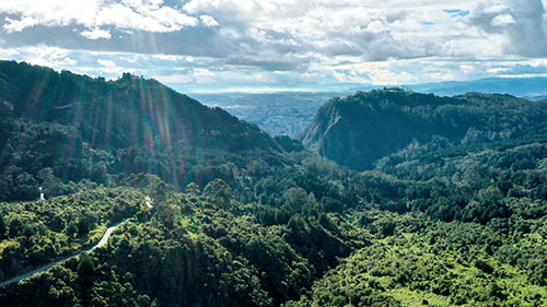 Panoramica Ricardo