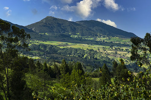 Ruta Campesina de Ciudad Bolívar Pasquilla Ricardo