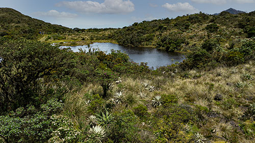 Parque Agroturístico los Soches Ricardo Lmeixo