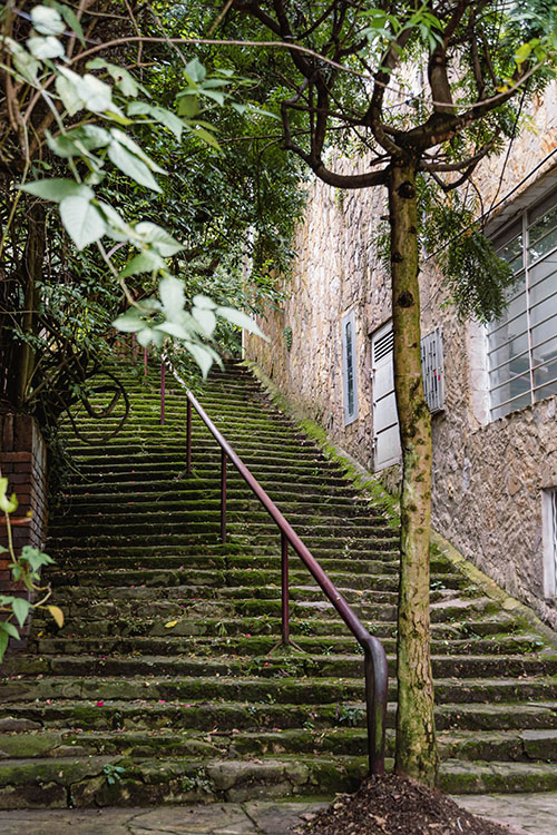 Arquitectura la Macarena Osque Izquierdo