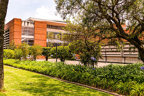 Biblioteca el Tunal Gabriel Rcía Márquez