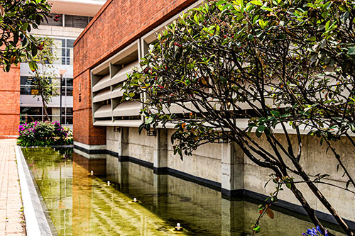 Biblioteca el Tunal Gabriel Rcía Márquez