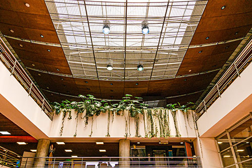 Biblioteca el Tunal Gabriel Rcía Márquez