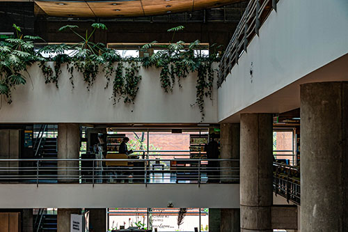 Biblioteca el Tunal Gabriel Rcía Márquez