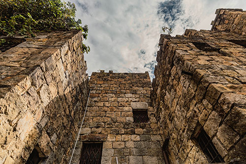 Castillo Mono Osorio