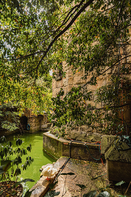 Castillo Mono Osorio