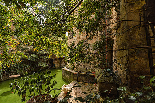 Castillo Mono Osorio