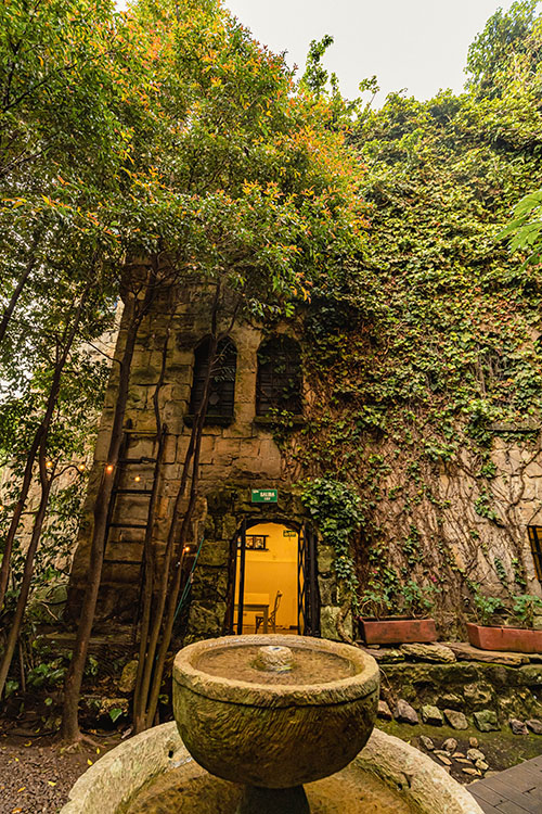 Castillo Mono Osorio