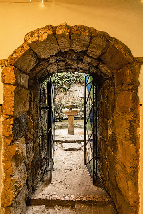 Castillo Mono Osorio