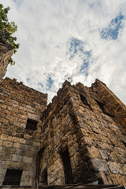 Castillo Mono Osorio