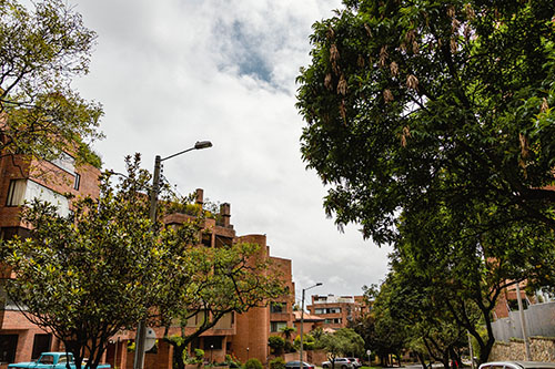 Rosales
