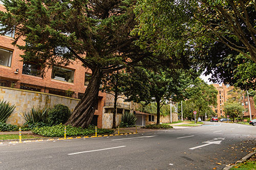 Rosales