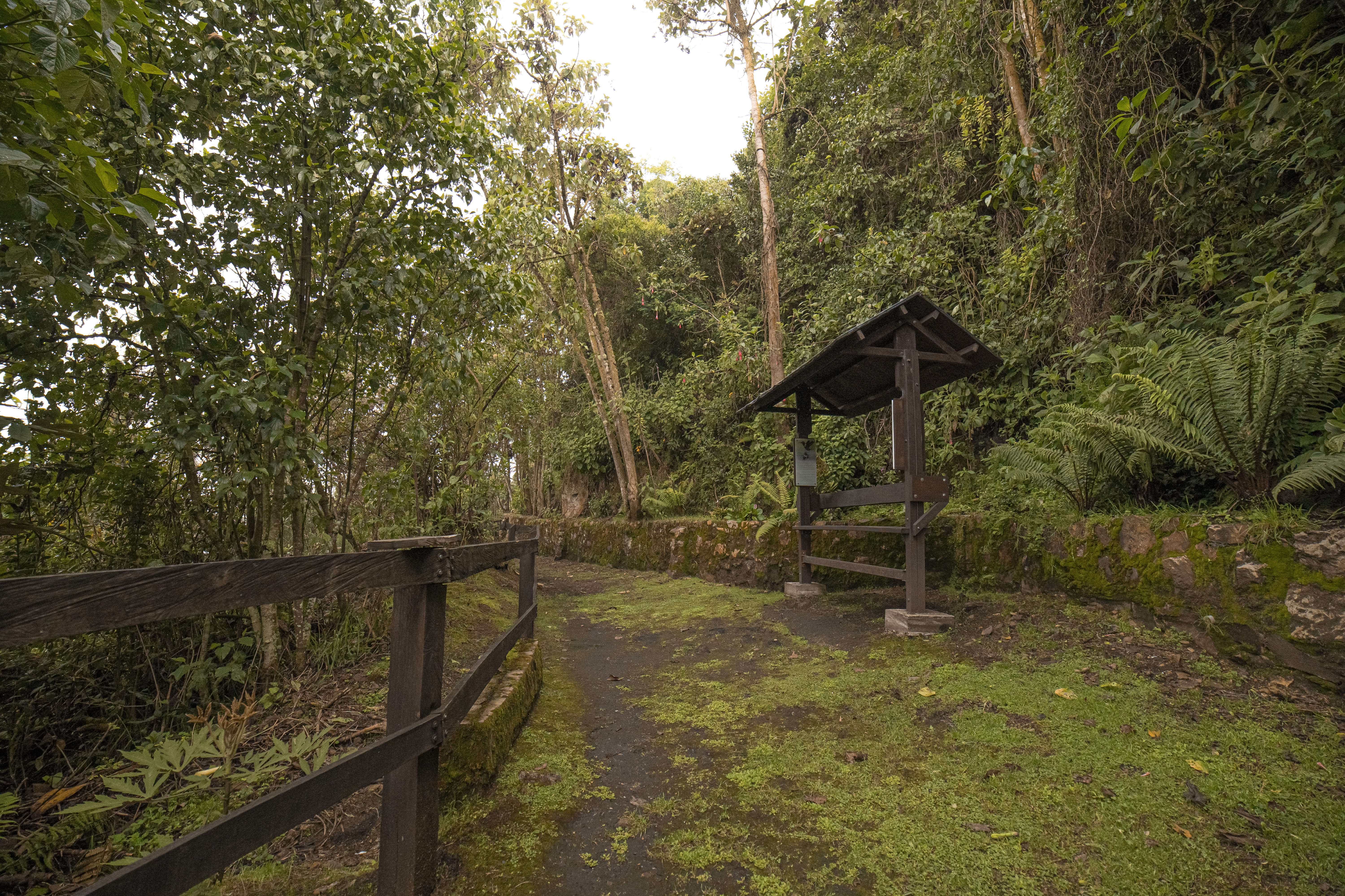 Monserrate Sendero Paramuno Ricardo Báez