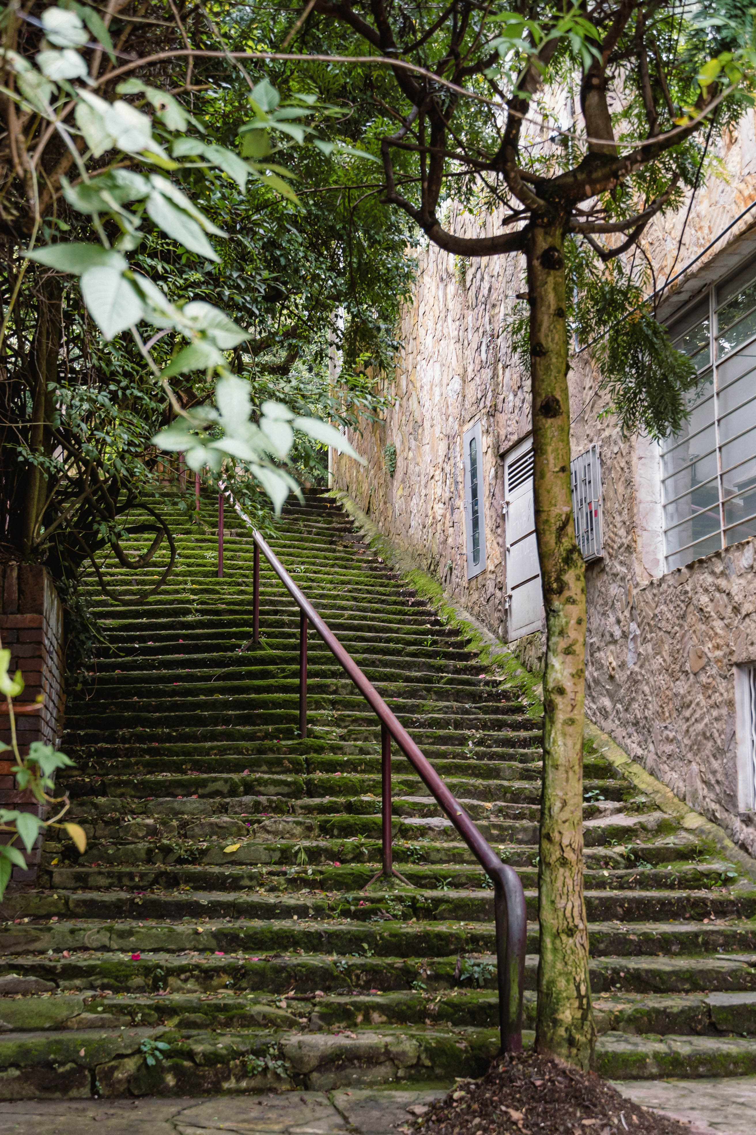 Arquitectura la Macarena Osque Izquierdo