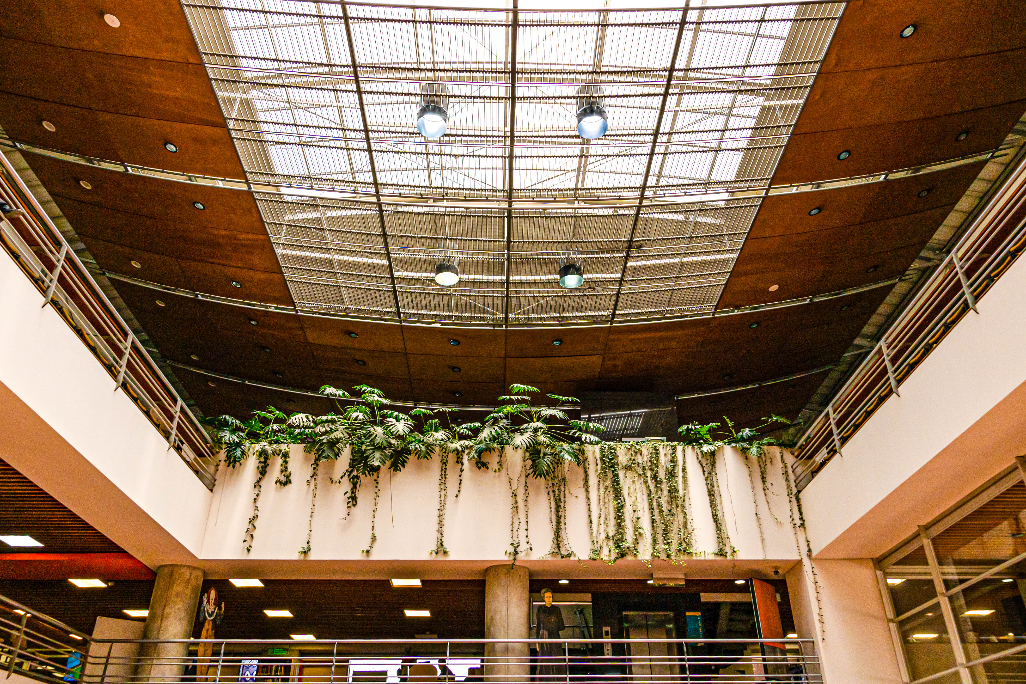 Biblioteca el Tunal Gabriel Rcía Márquez