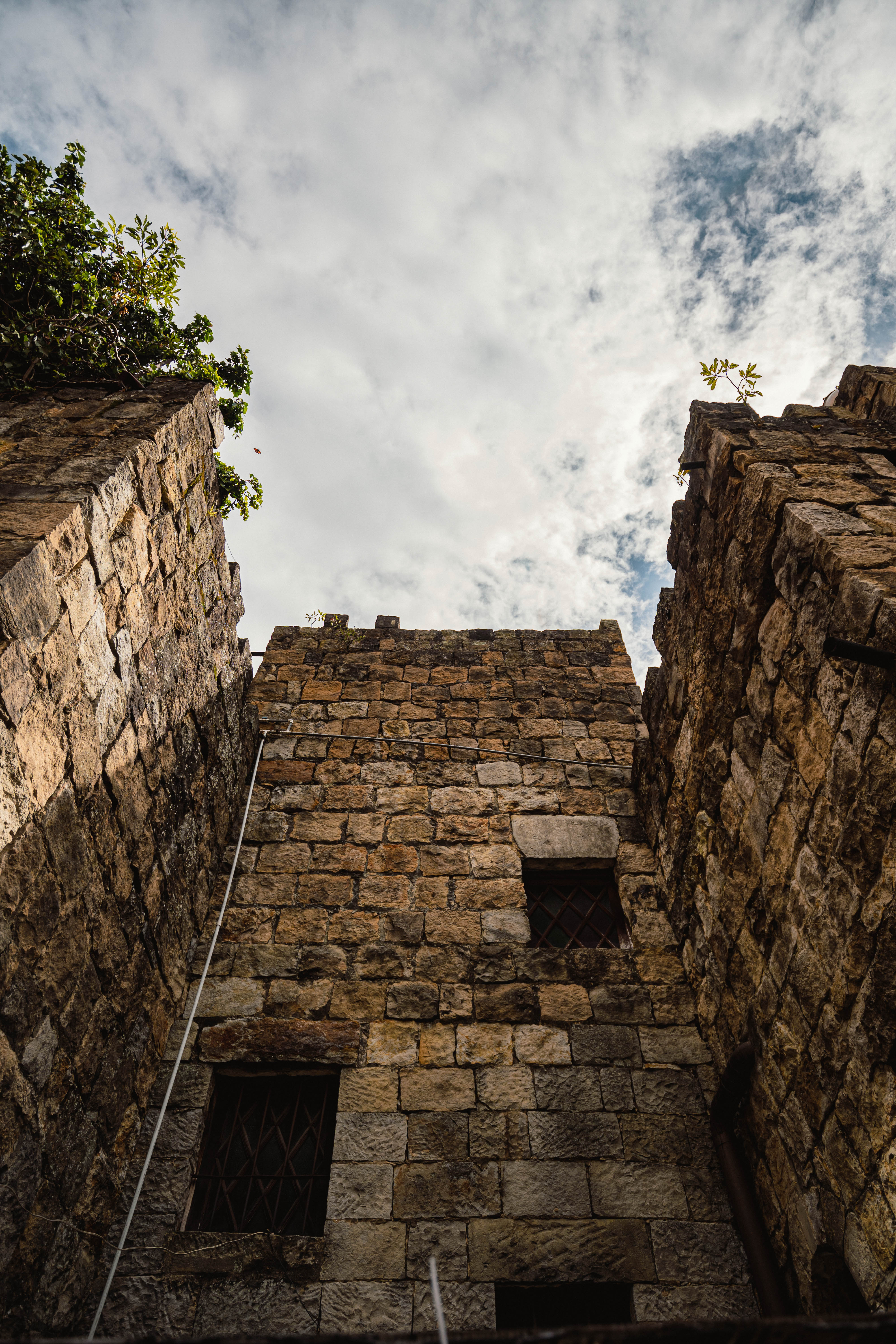 Castillo Mono Osorio