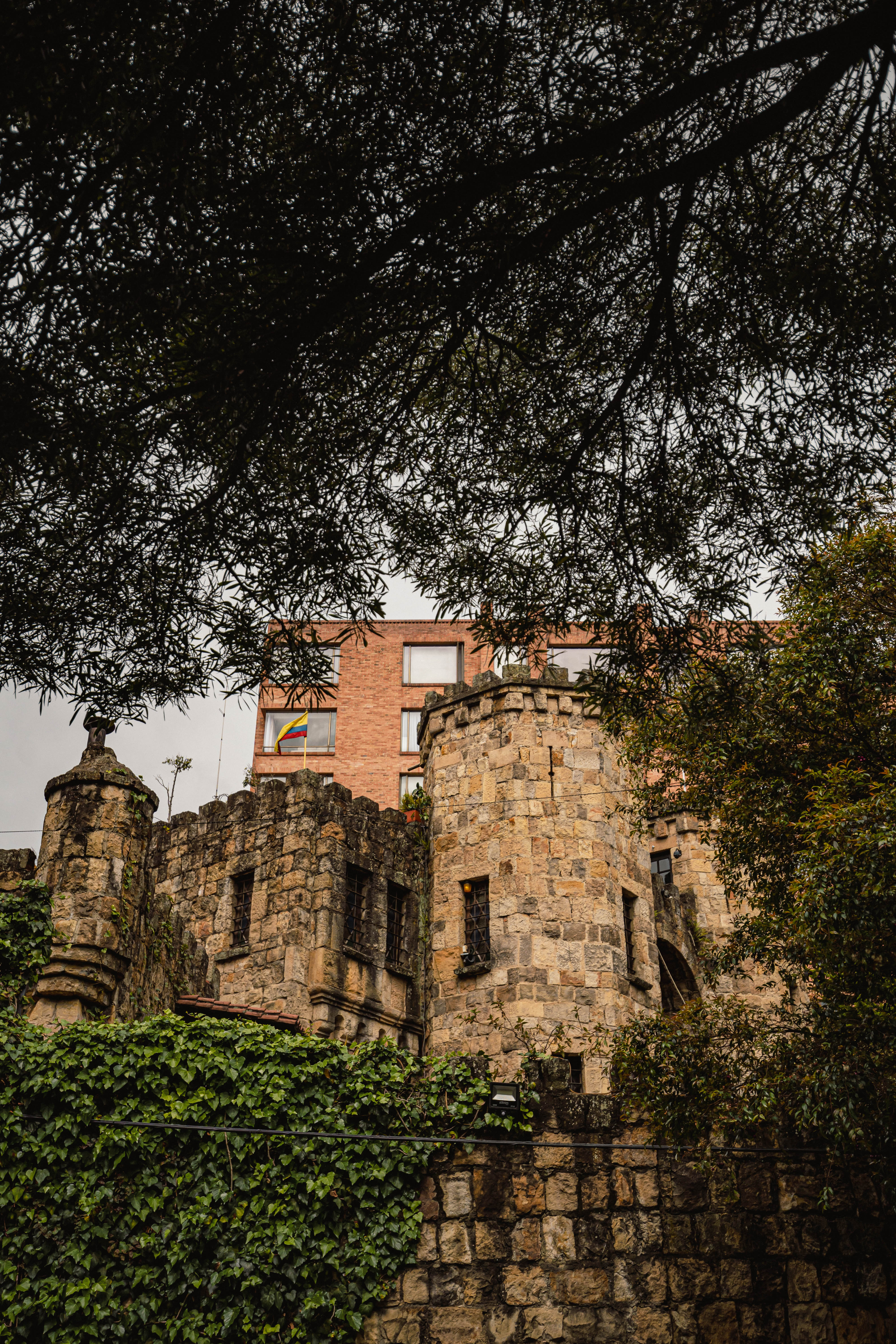 Castillo Mono Osorio