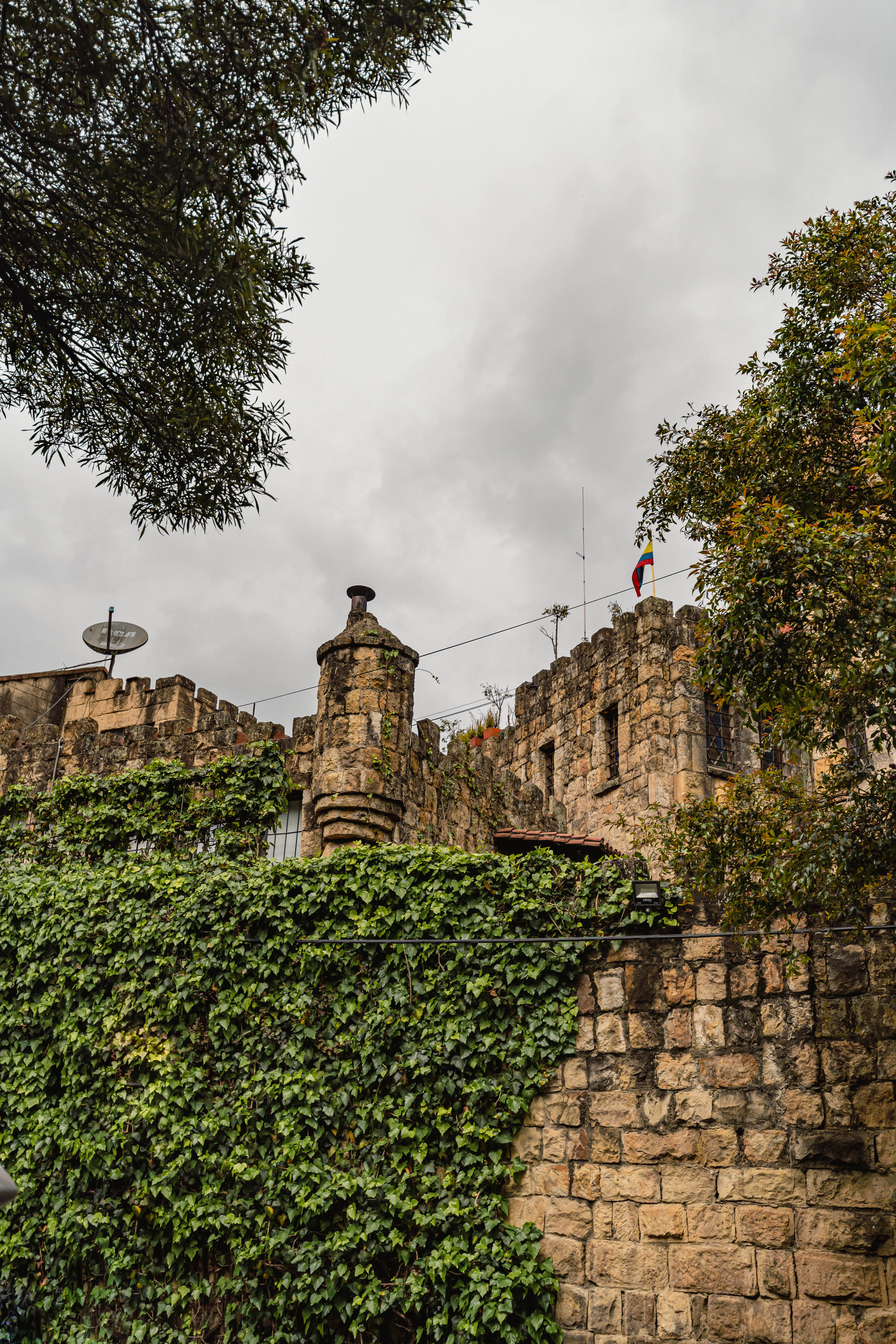 Castillo Mono Osorio