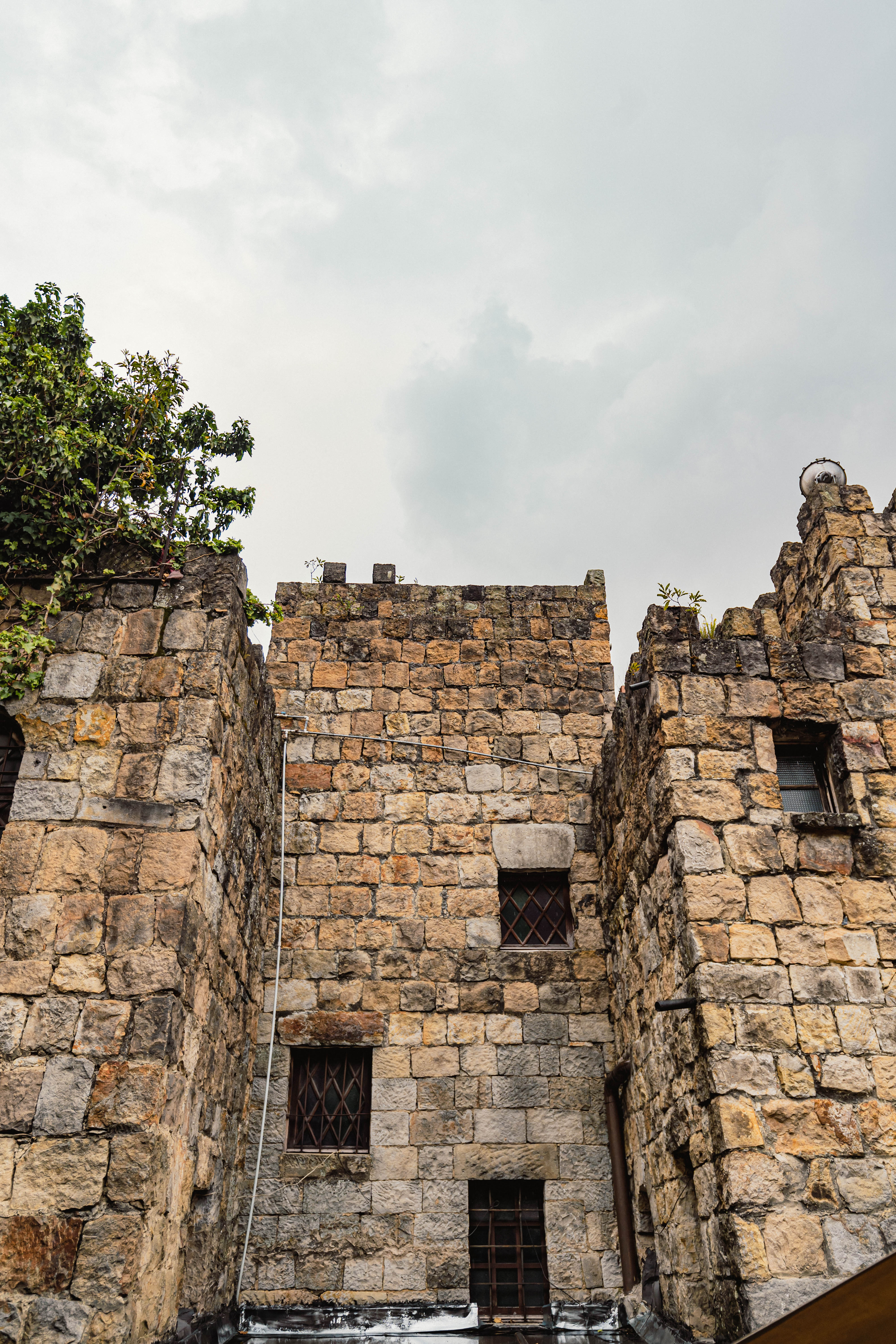 Castillo Mono Osorio
