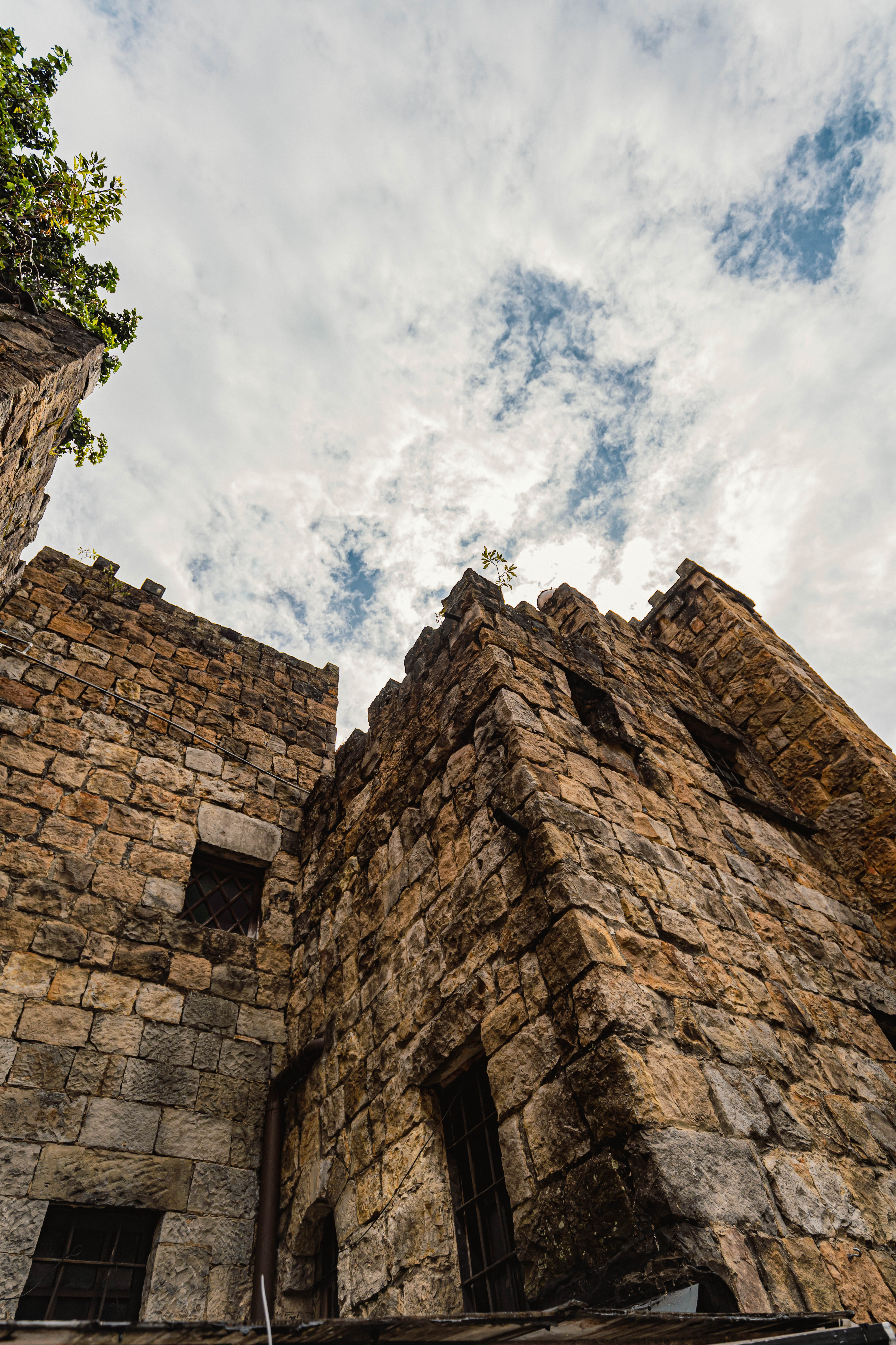 Castillo Mono Osorio