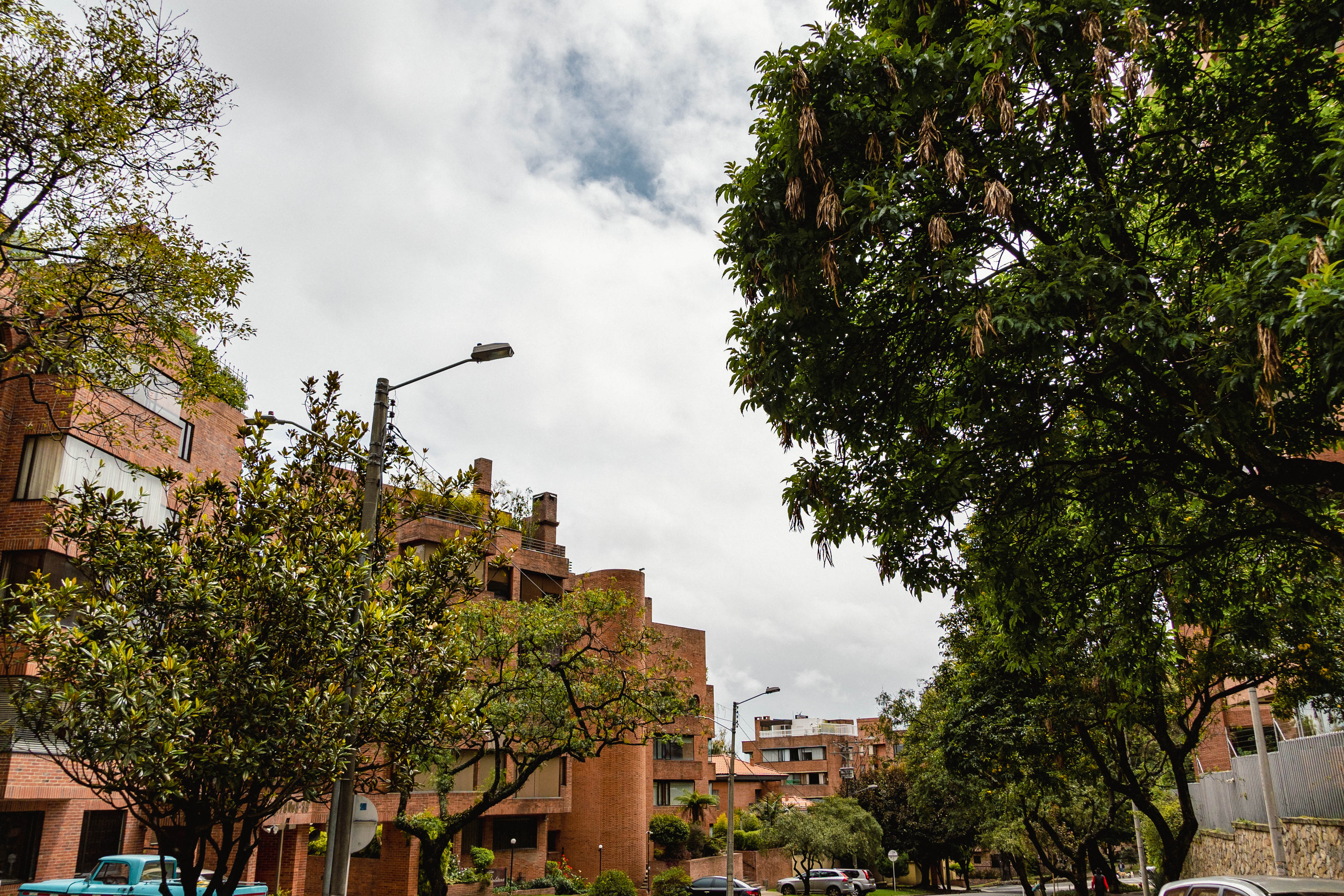 Rosales