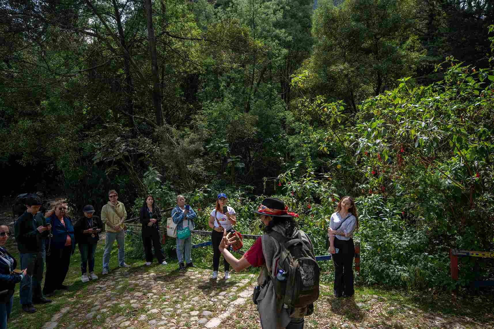 Conoce lo que era nuestra ciudad en sus orígenes, cuando nuestros indígenas cuidaban y alimentaban la tierra. Foto: Diego Cuevas - IDT. 
