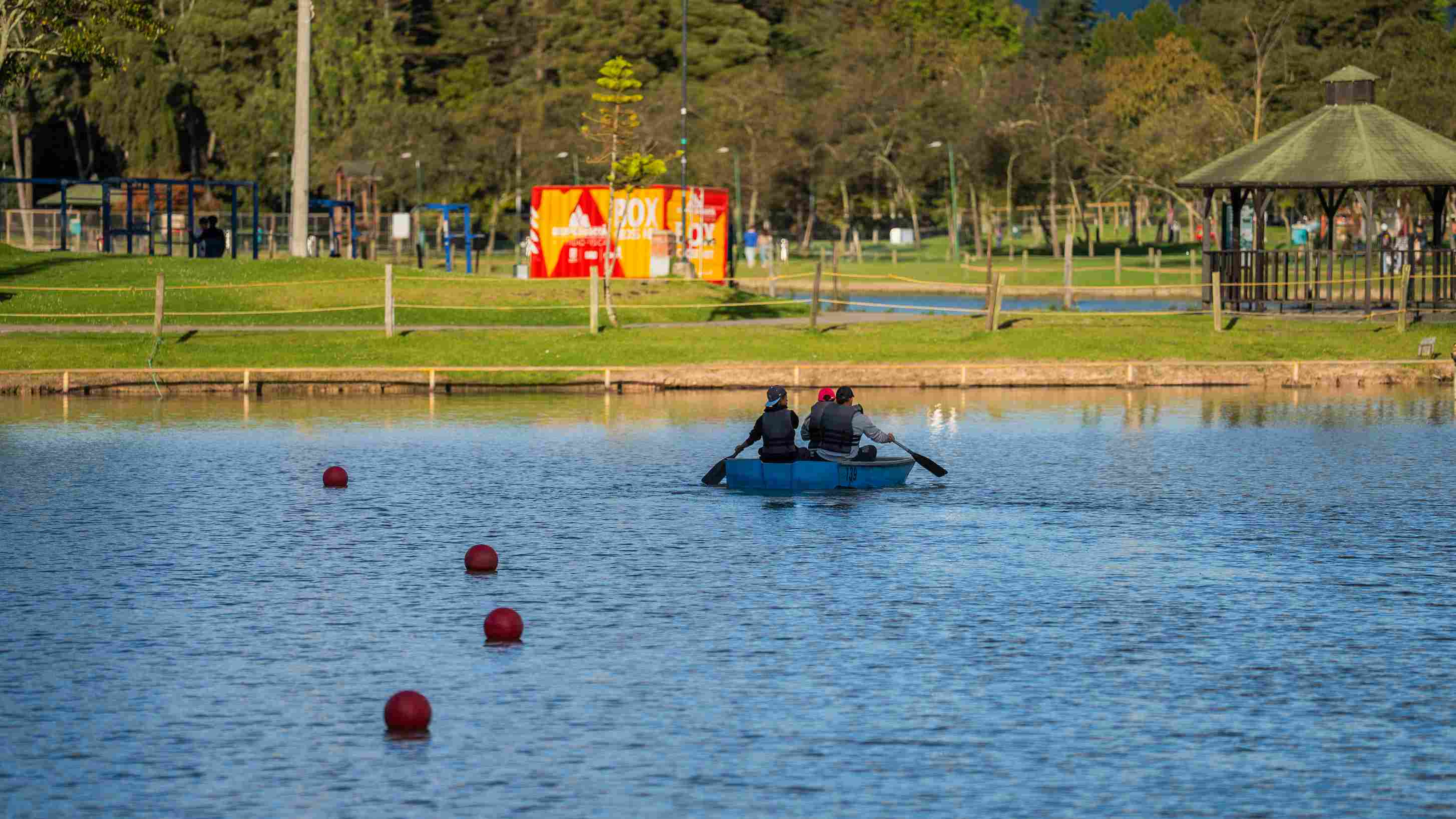 El Parque Simón Bolívar está considerado como el "pulmón verde" de la ciudad. Foto: Carlos Viancha - IDT