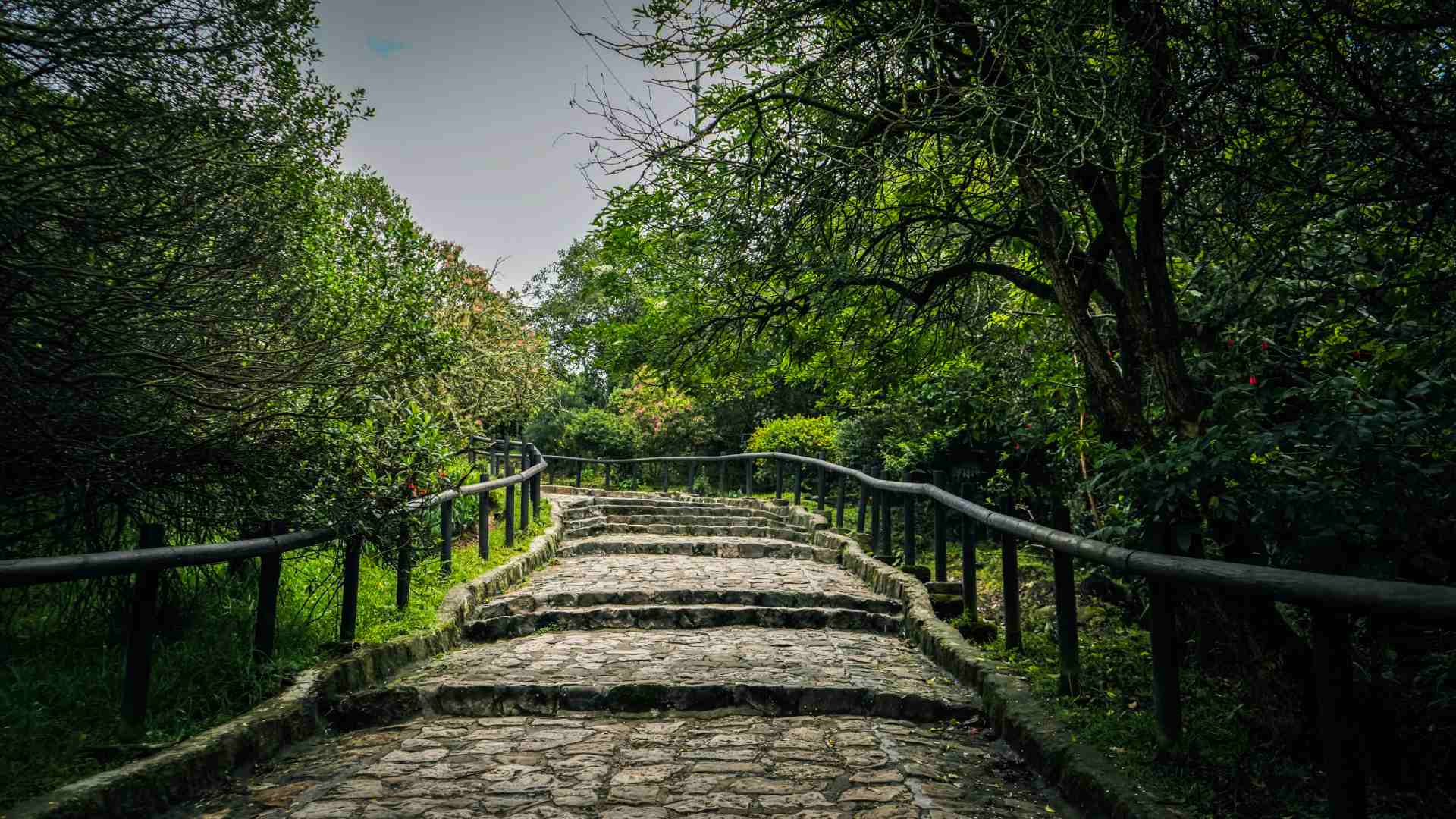 El sendero por el Cerro de Monserrate tiene 500 metros de desnivel positivo. Foto: Manuela Picón - IDT