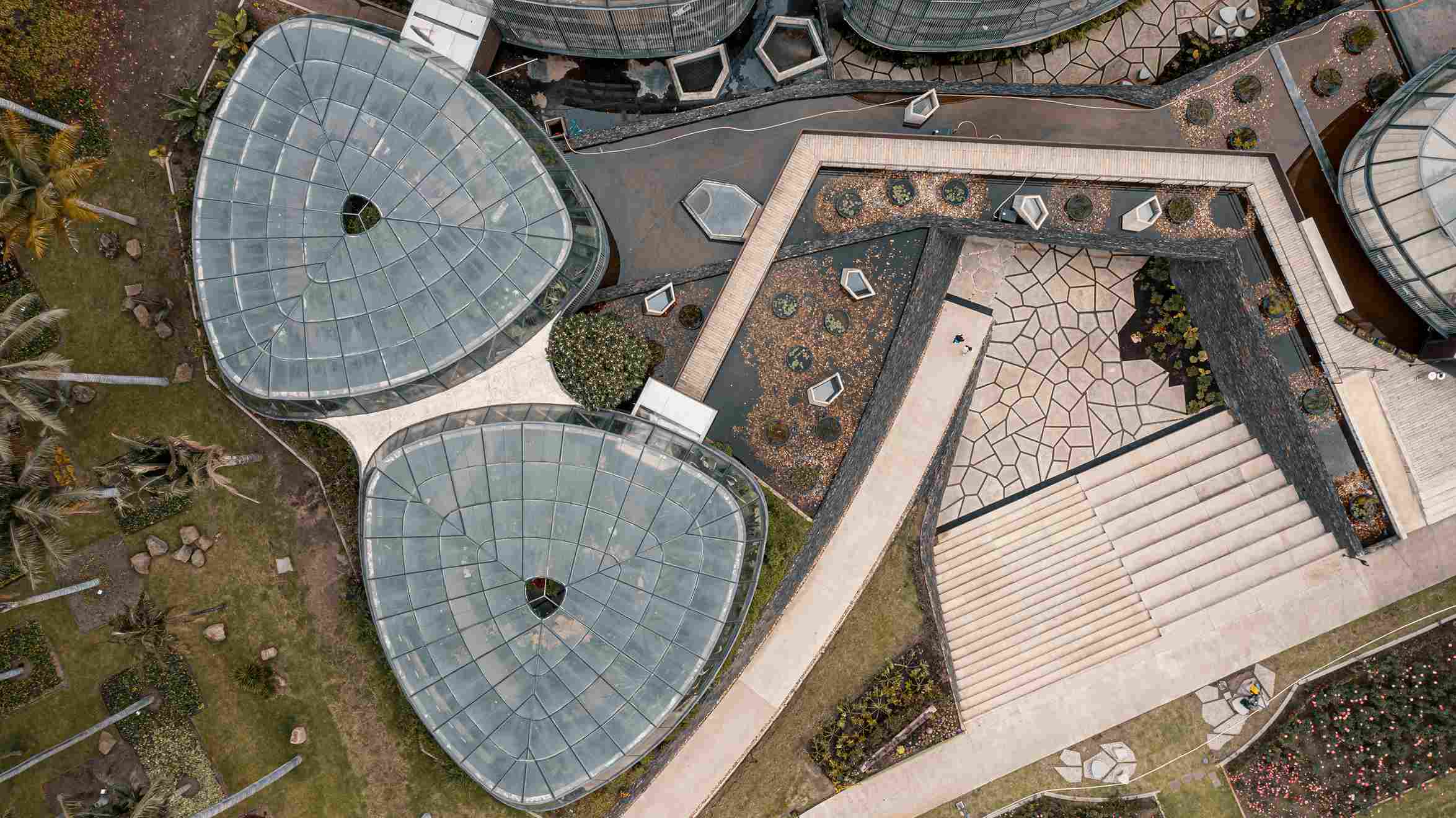 El Jardín Botánico de Bogotá es un importante centro de investigación dedicado a la conservación de la biodiversidad altoandina y de páramo. Foto: Ricardo Báez- IDT