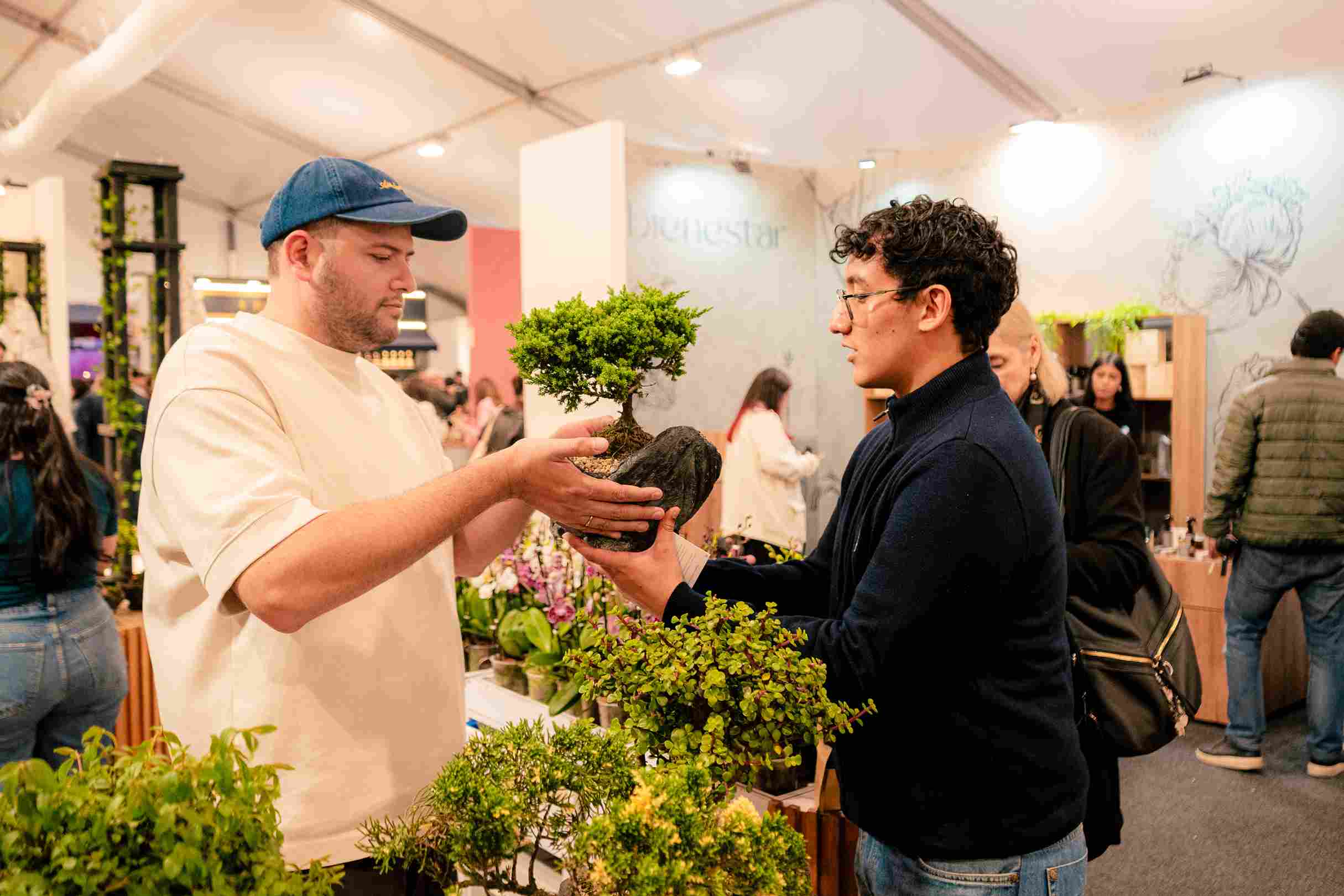 Dos personas interactúan con un bonsái durante una feria de plantas y jardinería.