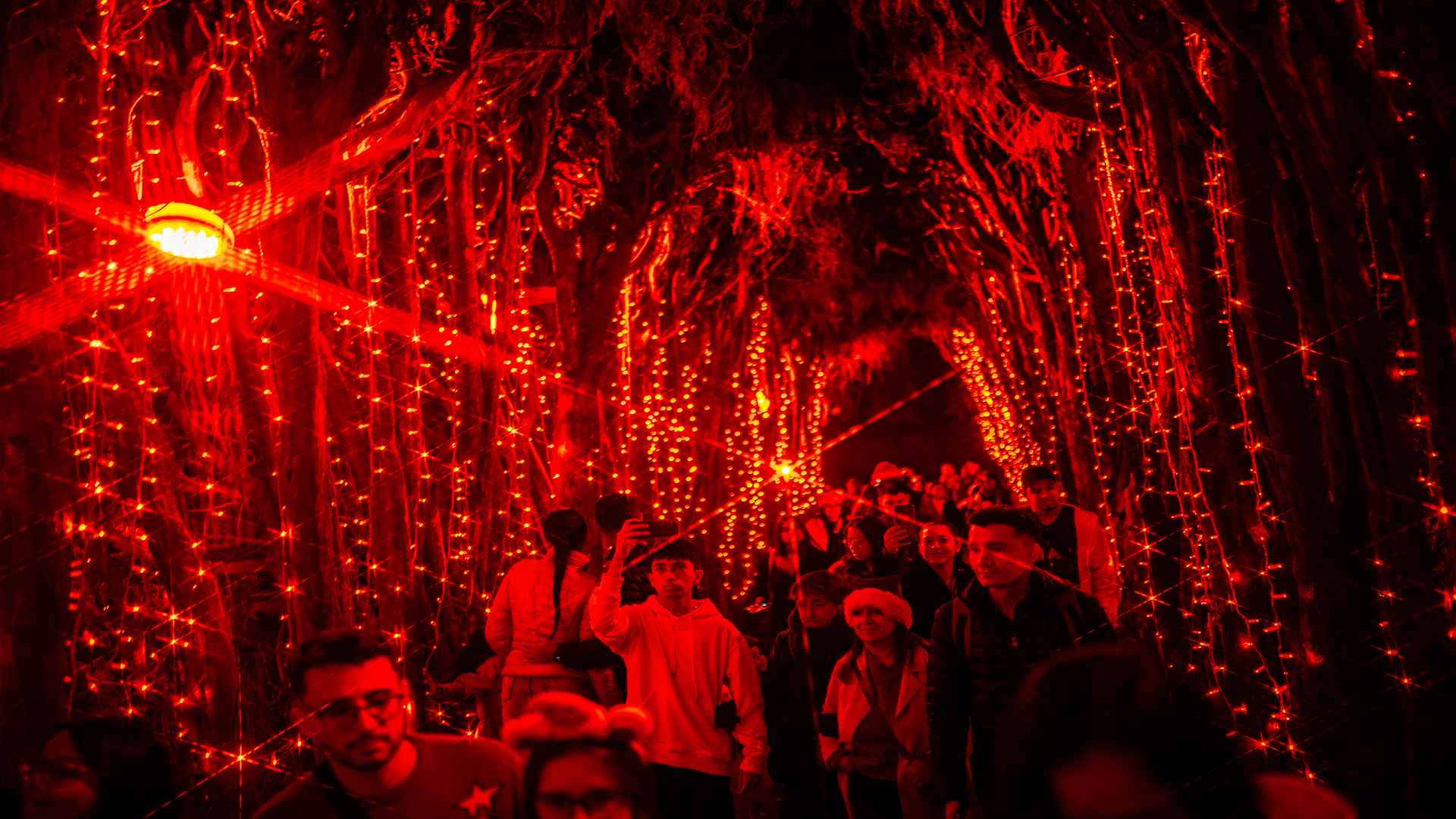 Bogotá en Navidad asegura un espectáculo imperdible para grandes y chicos. Fotografía de Diego Cuevas - IDT