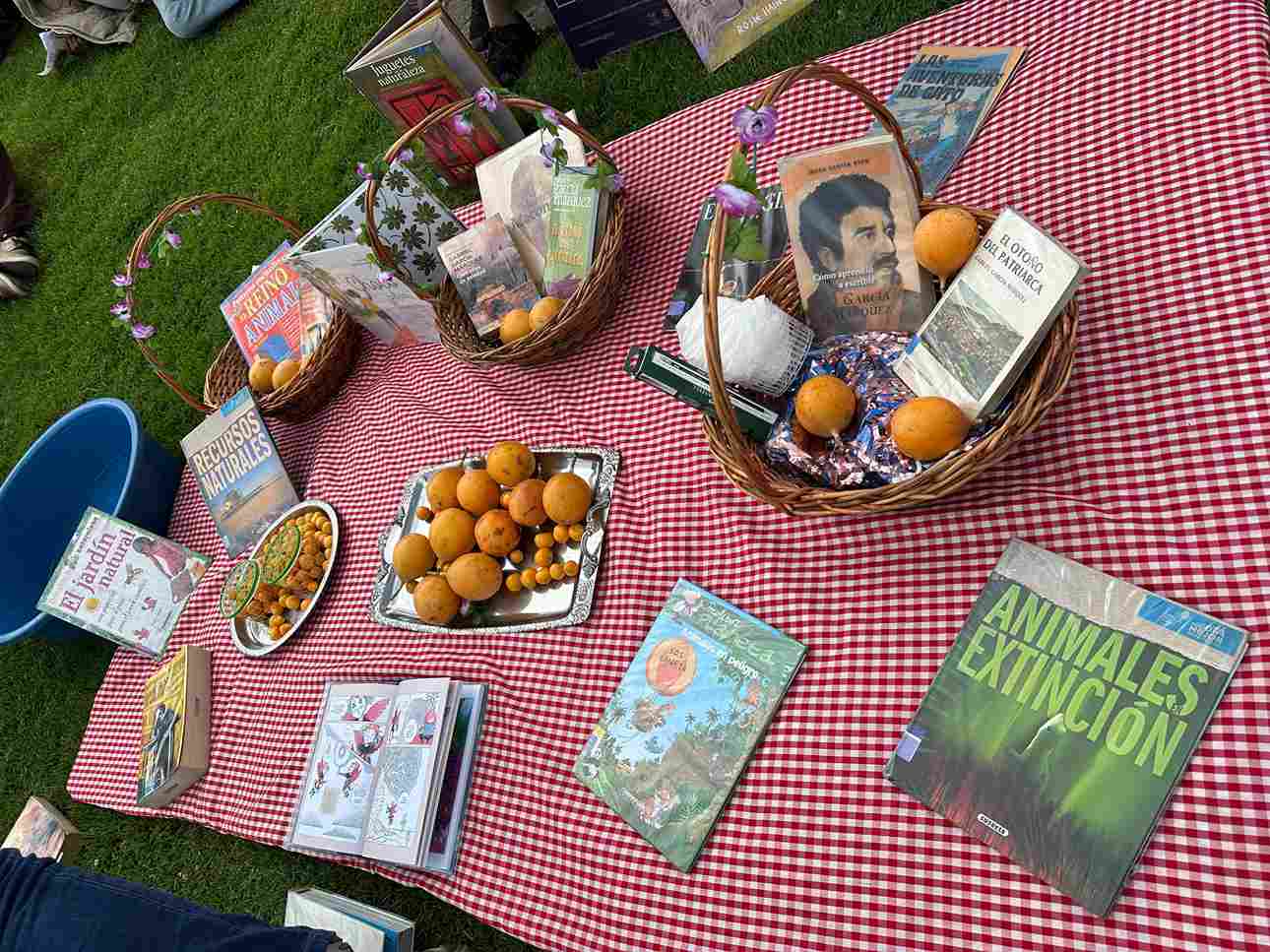 El “Picnic en Macondo”, una experiencia que conecta el universo literario con la riqueza ambiental de Bogotá. Foto: Archivo IDT.