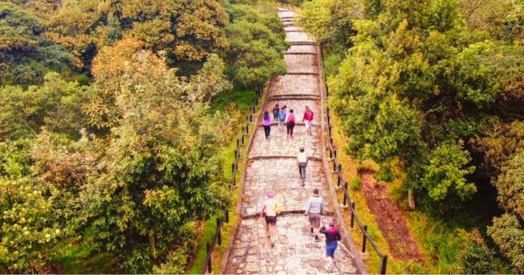 El sendero por el cerro de Monserrate son 1.605 escalones donde la experiencia comienza mucho antes de llegar a la cima. Foto: Cortesía de la Alcaldía Mayor de Bogotá, tomada de https://bogota.gov.co/