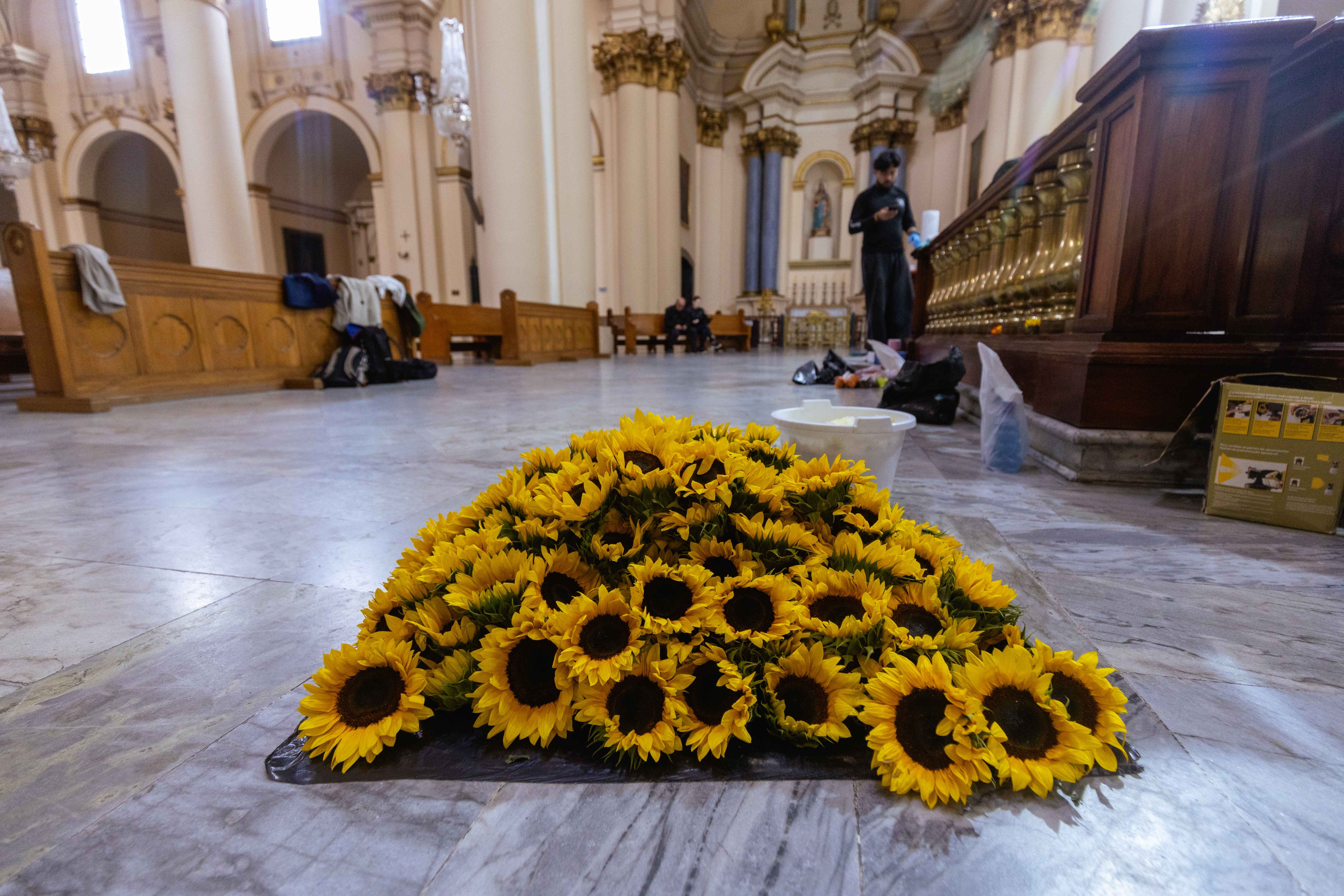 Girasoles que iluminan el arte guatemalteco en el tapete ceremonial de la Catedral Primada. Fotografía de María Alejandra Villamizar - IDT