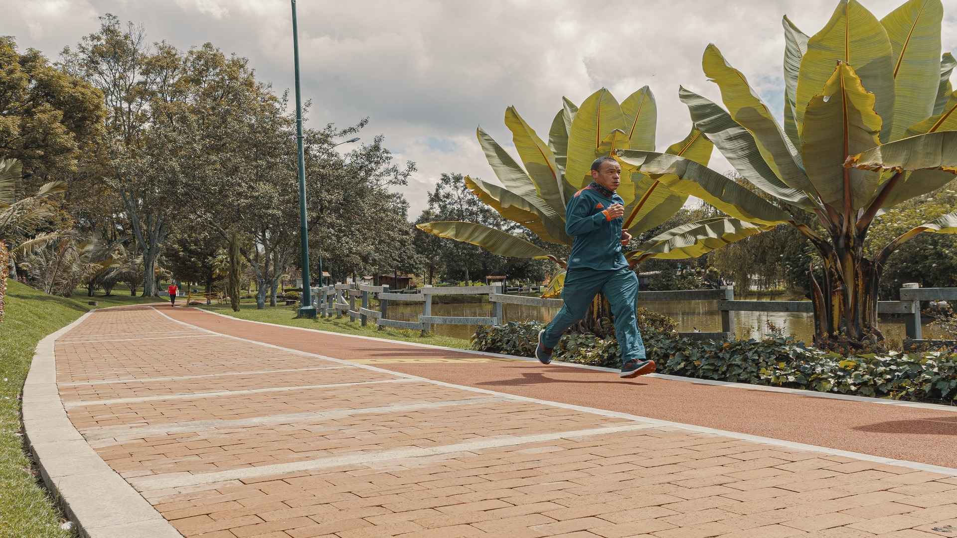 Un hombre con traje deportivo corre por un sendero de ladrillo junto a un lago y grandes plantas tropicales.