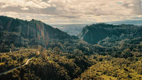 Reserva Forestal Protectora Bosque Oriental